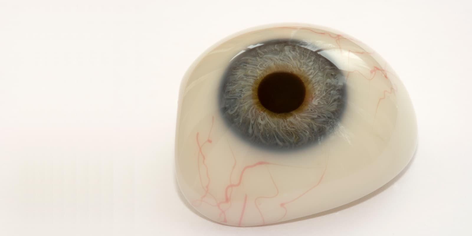 Prótesis oculares